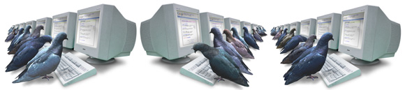 SEO advice tips Google-pigeon-ranking-algorithm