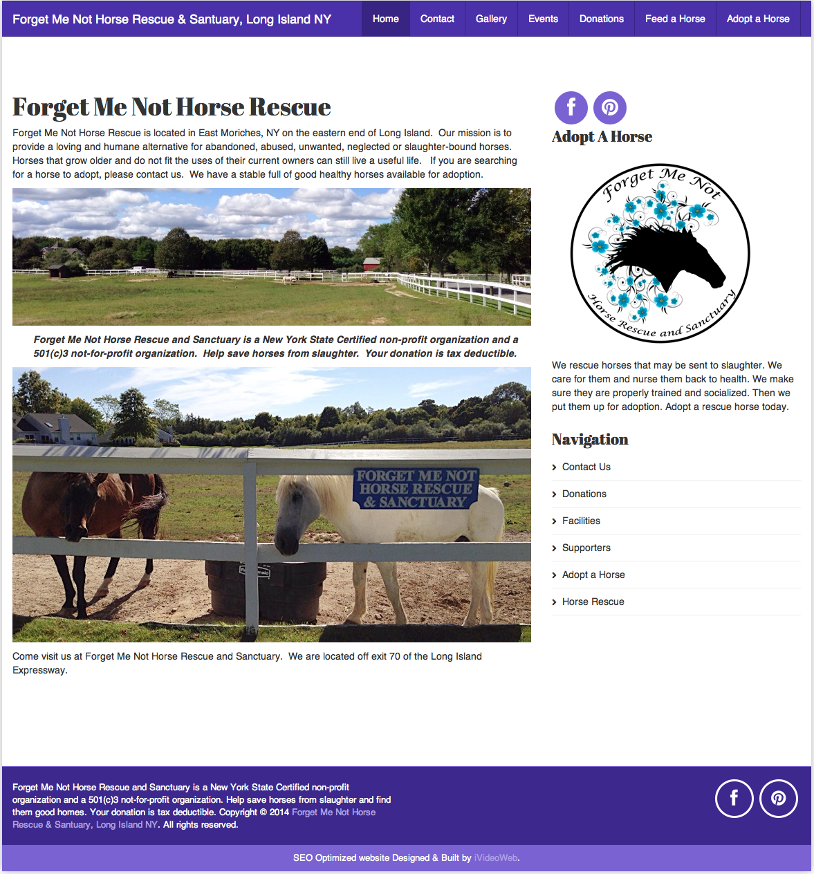 Non-Profit Horse Rescue charity website