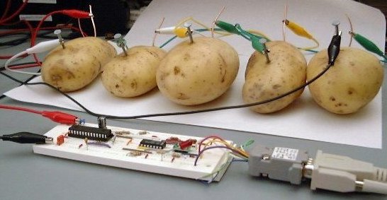 Is your server a slow potato?